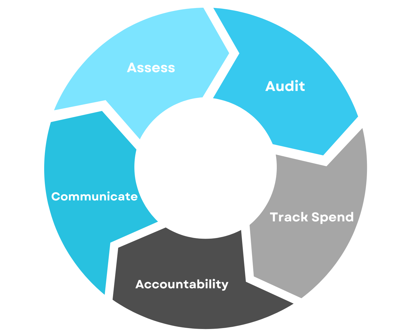 Spend Assessment Strategy Circle Chart